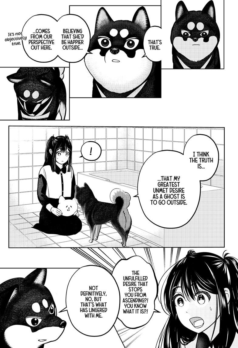 Shiba Inu Rooms Chapter 30 19