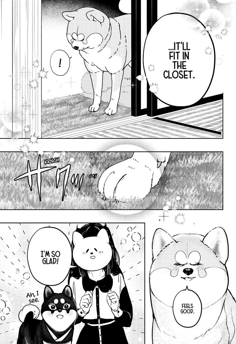 Shiba Inu Rooms Chapter 30 25