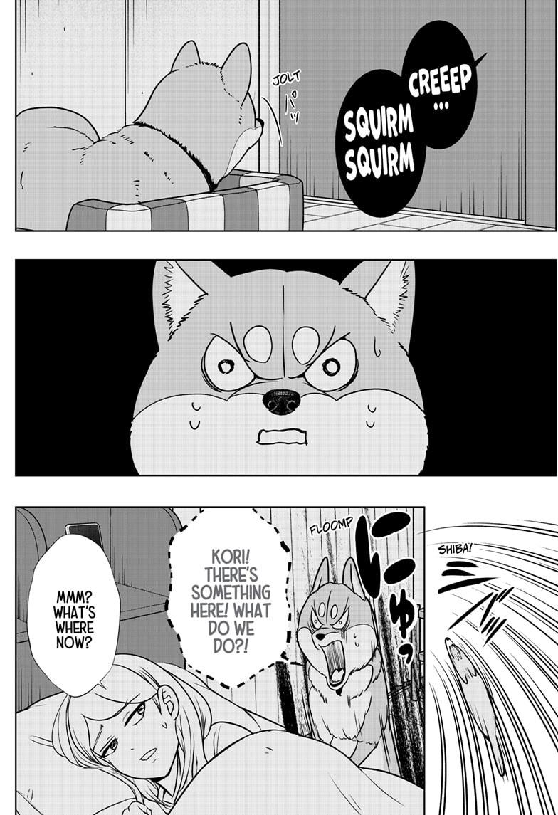 Shiba Inu Rooms Chapter 31 4