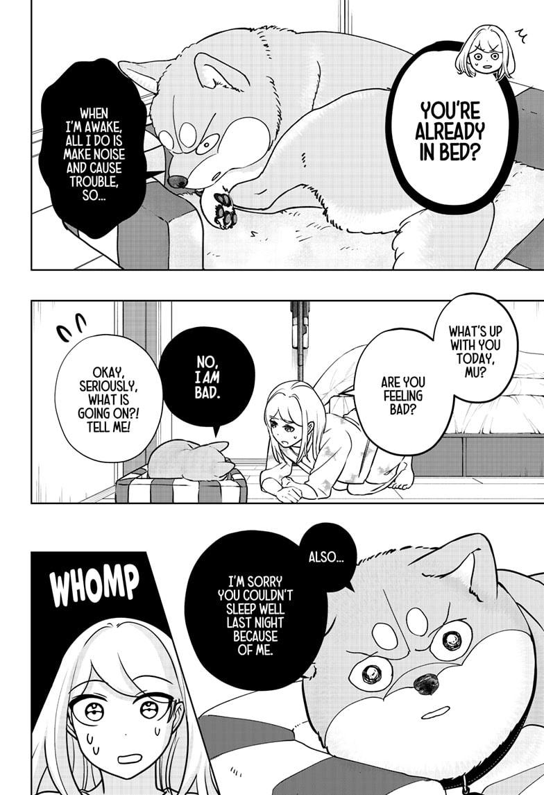 Shiba Inu Rooms Chapter 31 12