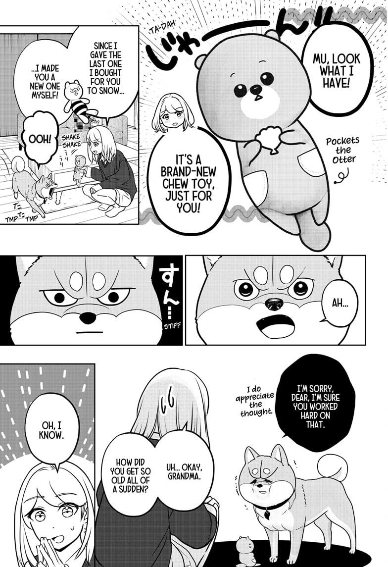 Shiba Inu Rooms Chapter 31 15