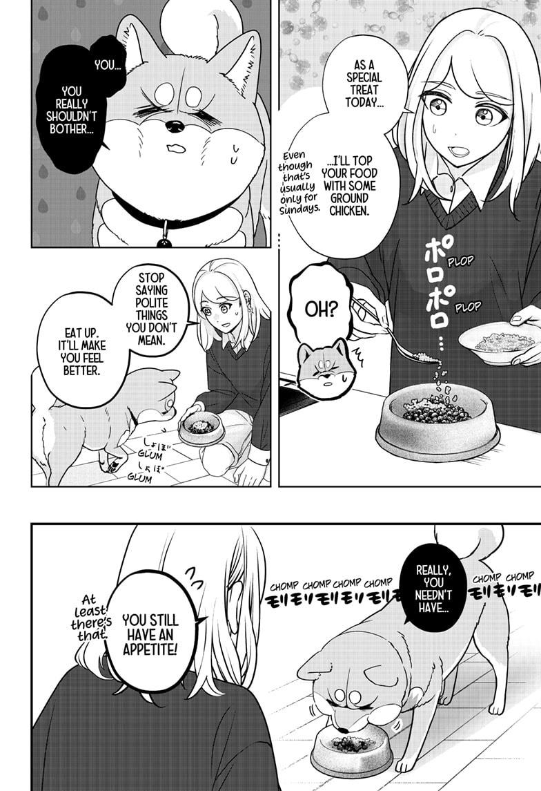 Shiba Inu Rooms Chapter 31 16