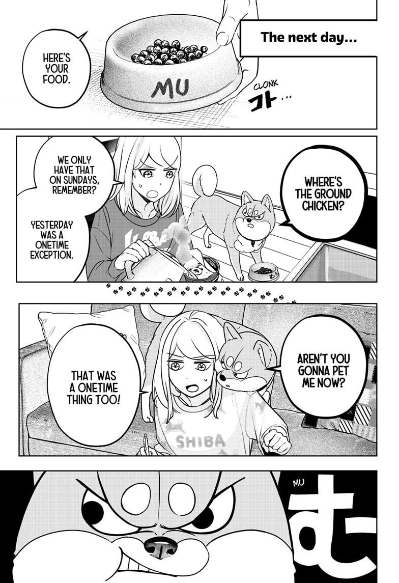 Shiba Inu Rooms Chapter 31 25