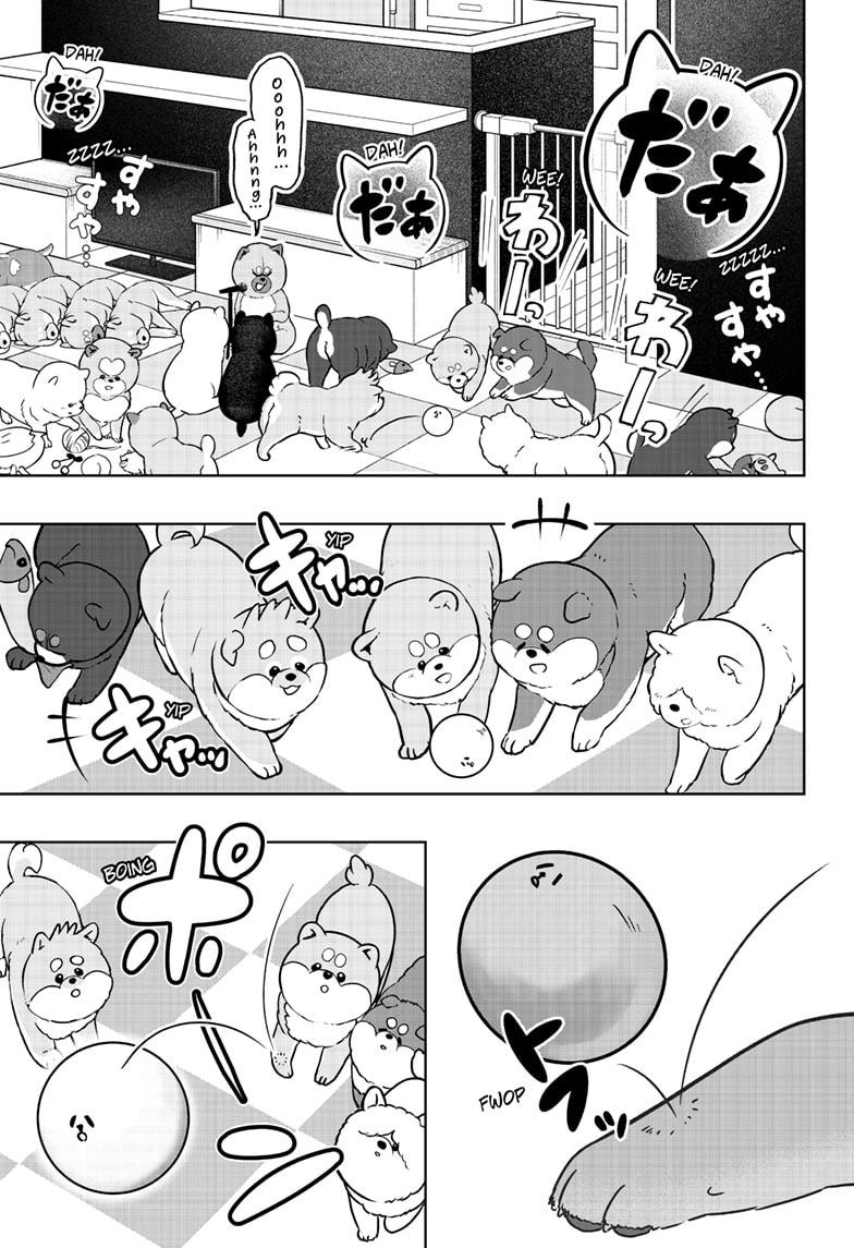 Shiba Inu Rooms Chapter 32 5