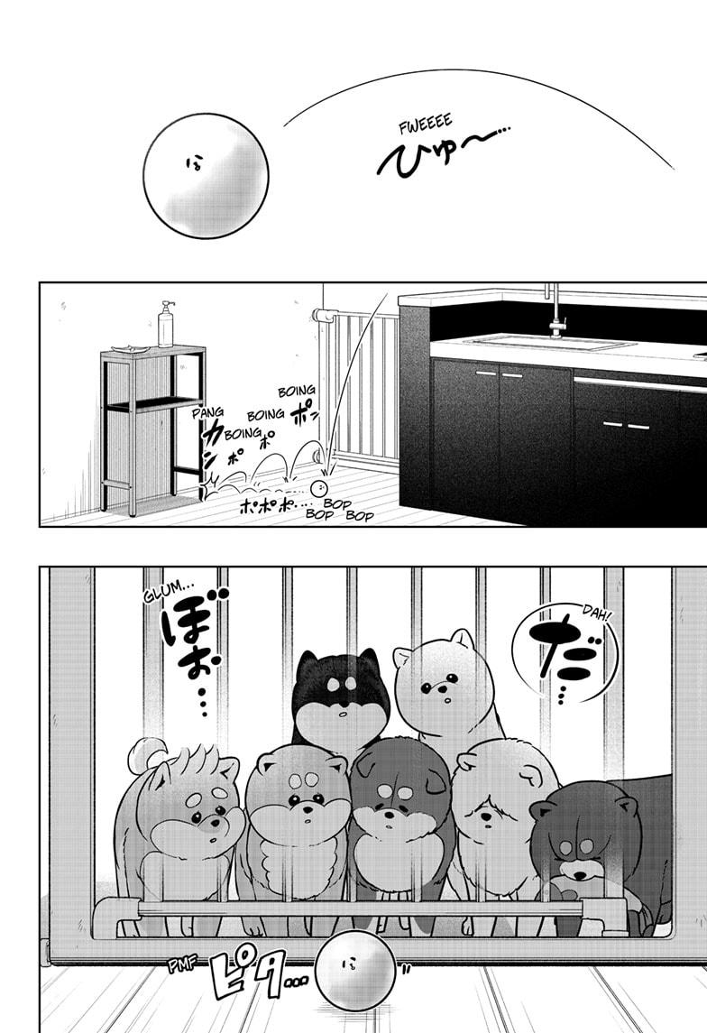 Shiba Inu Rooms Chapter 32 6