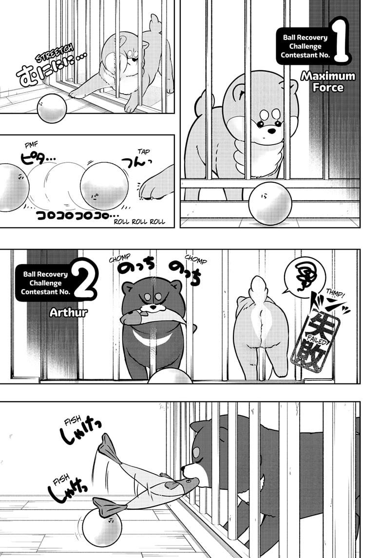 Shiba Inu Rooms Chapter 32 7