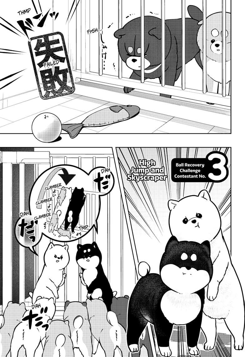 Shiba Inu Rooms Chapter 32 9