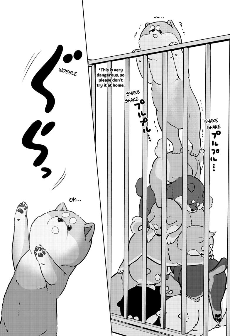 Shiba Inu Rooms Chapter 32 10