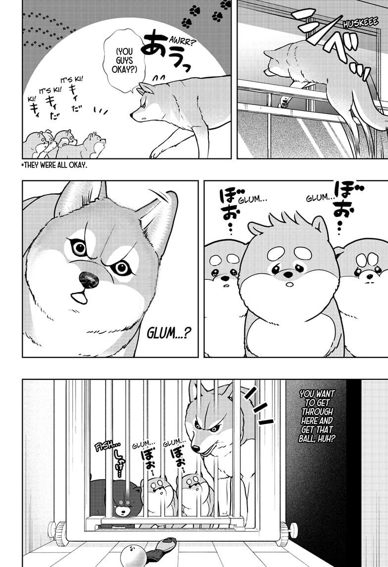 Shiba Inu Rooms Chapter 32 12
