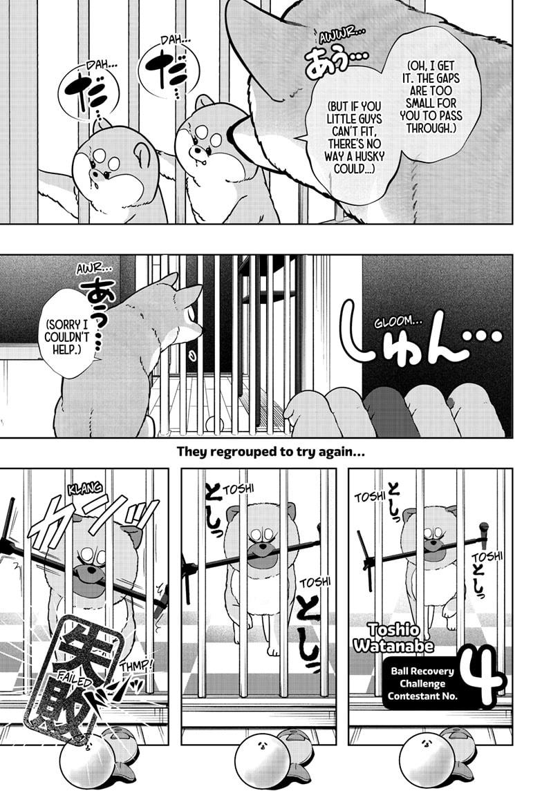 Shiba Inu Rooms Chapter 32 13