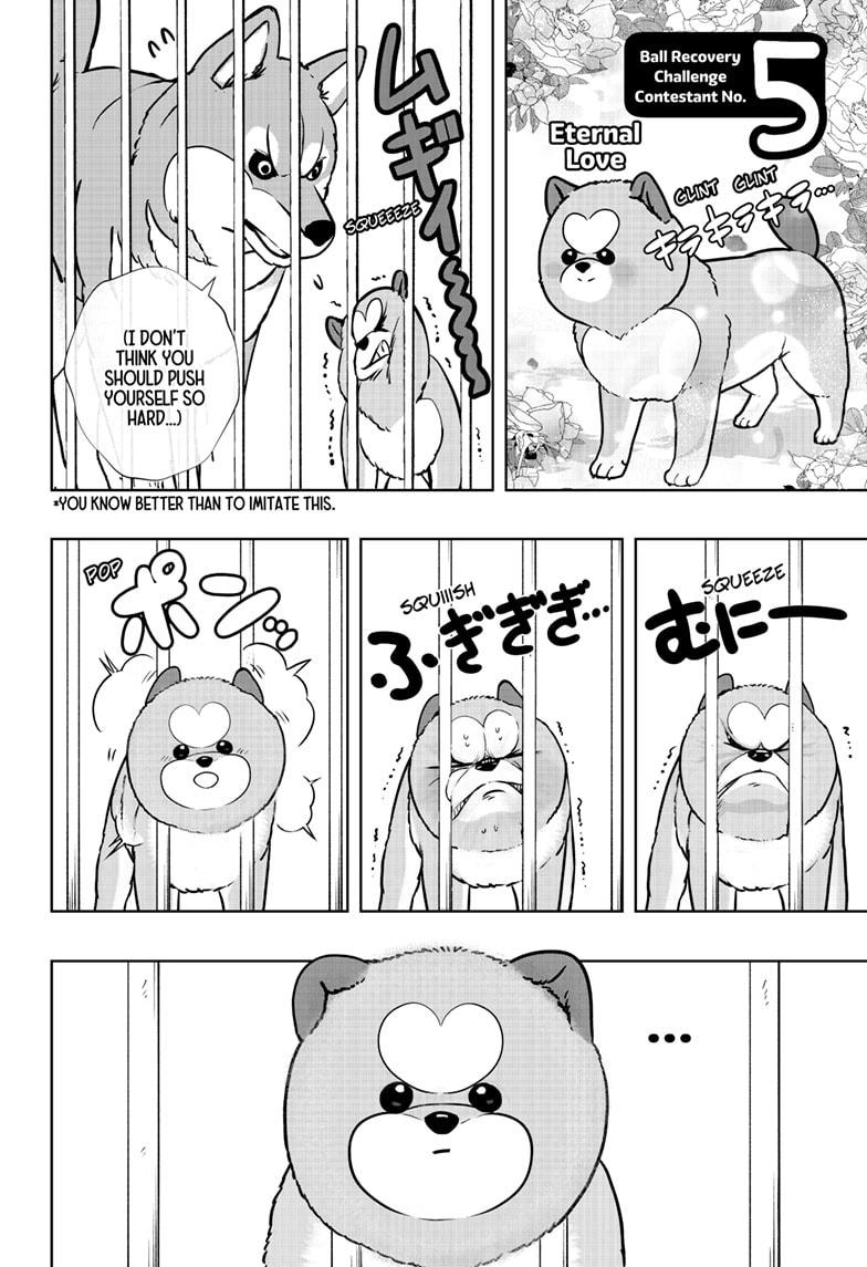 Shiba Inu Rooms Chapter 32 14