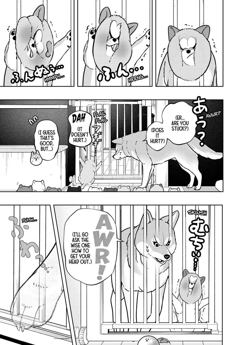 Shiba Inu Rooms Chapter 32 15