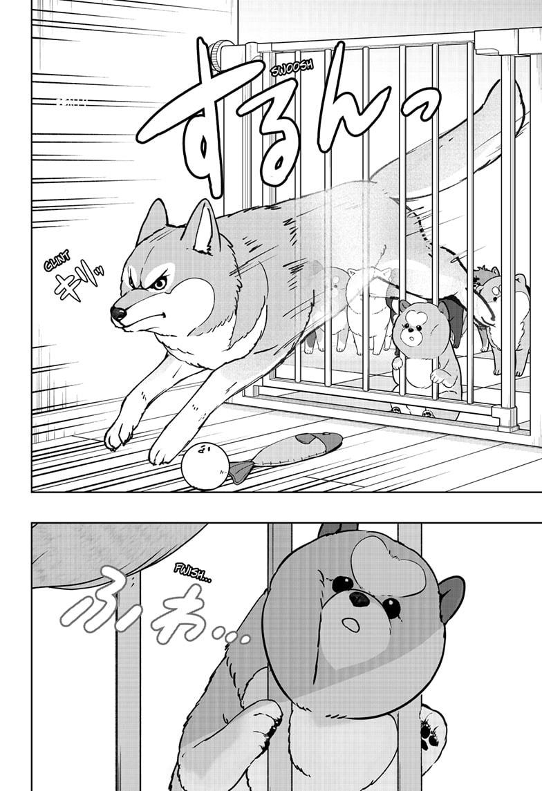 Shiba Inu Rooms Chapter 32 16