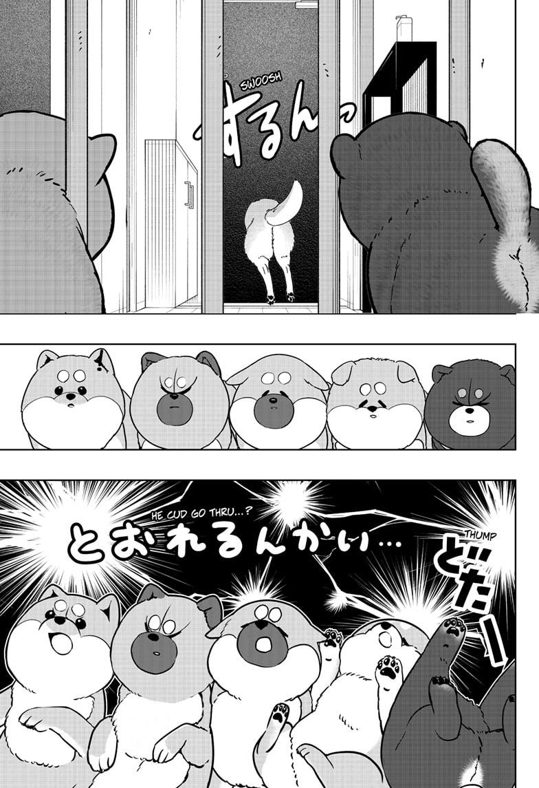 Shiba Inu Rooms Chapter 32 17