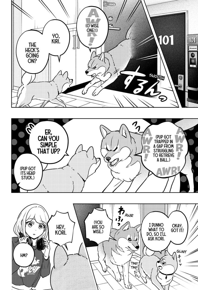Shiba Inu Rooms Chapter 32 18