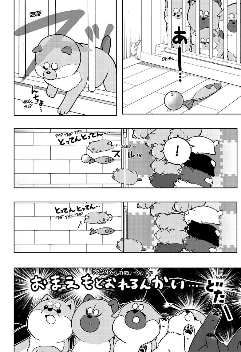 Shiba Inu Rooms Chapter 32 22