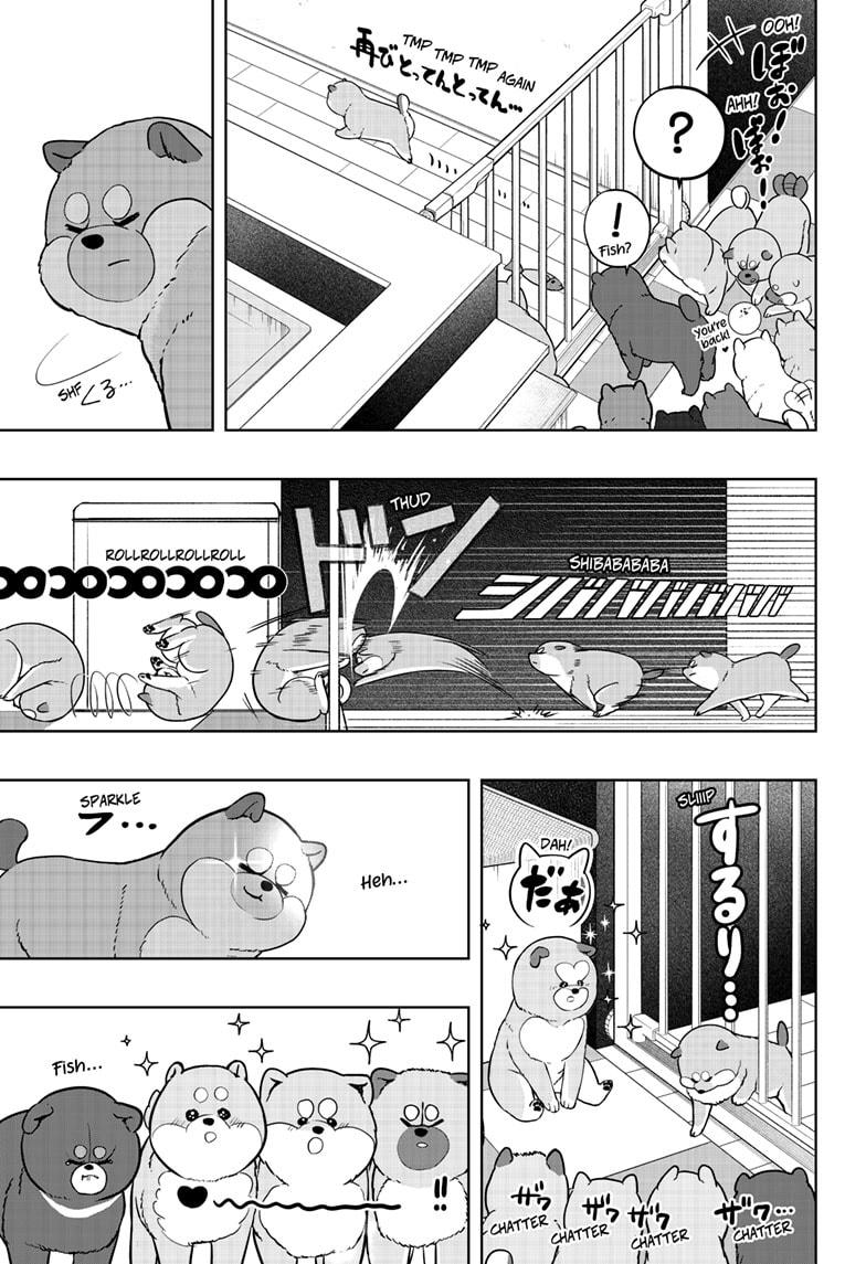 Shiba Inu Rooms Chapter 32 23