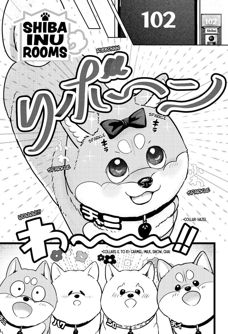 Shiba Inu Rooms Chapter 33 1