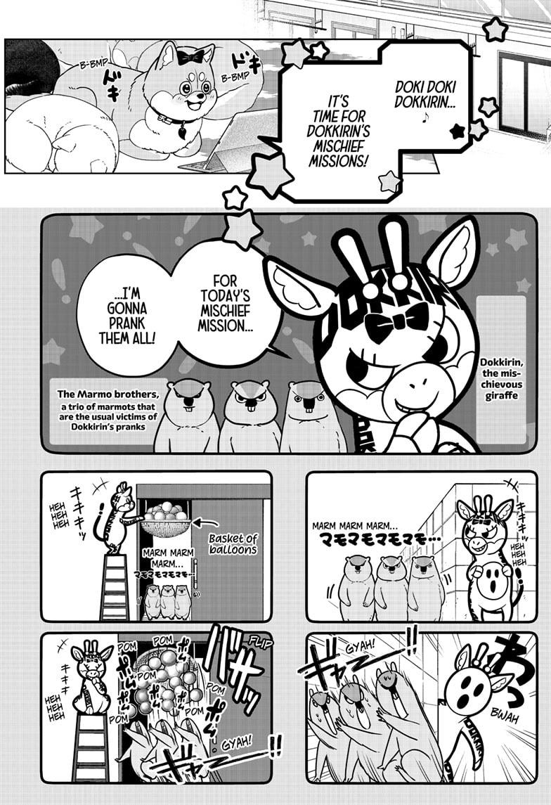 Shiba Inu Rooms Chapter 33 4
