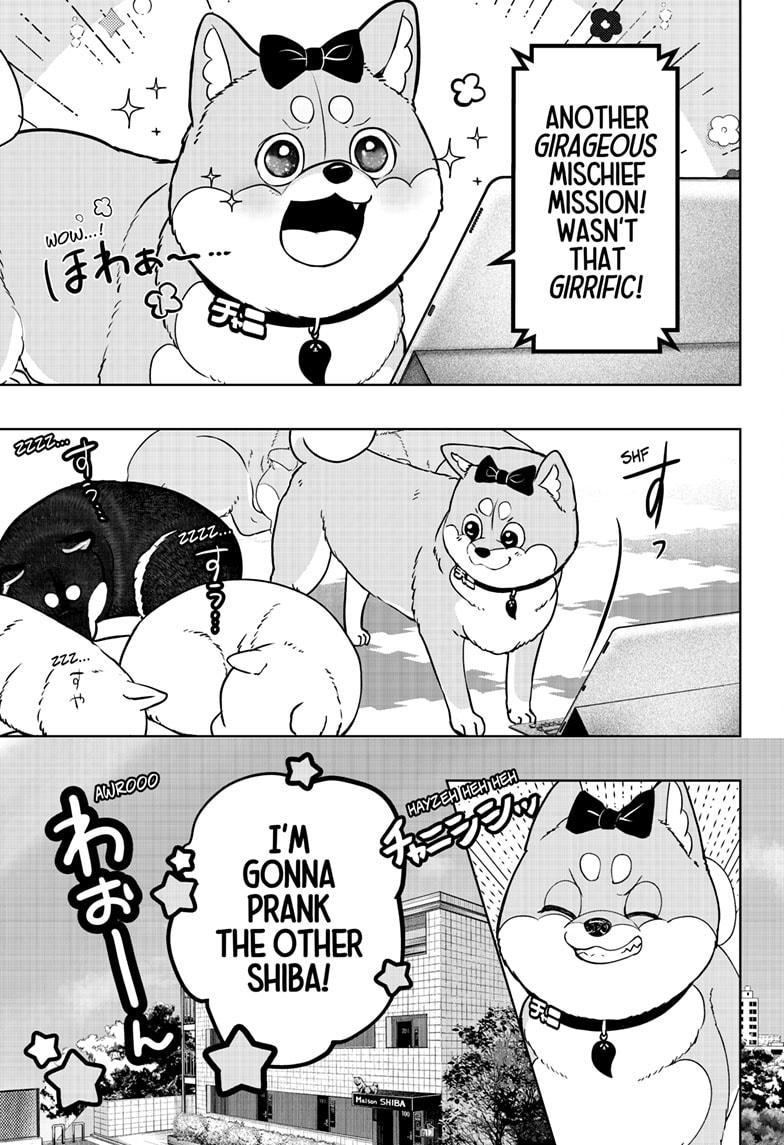 Shiba Inu Rooms Chapter 33 5