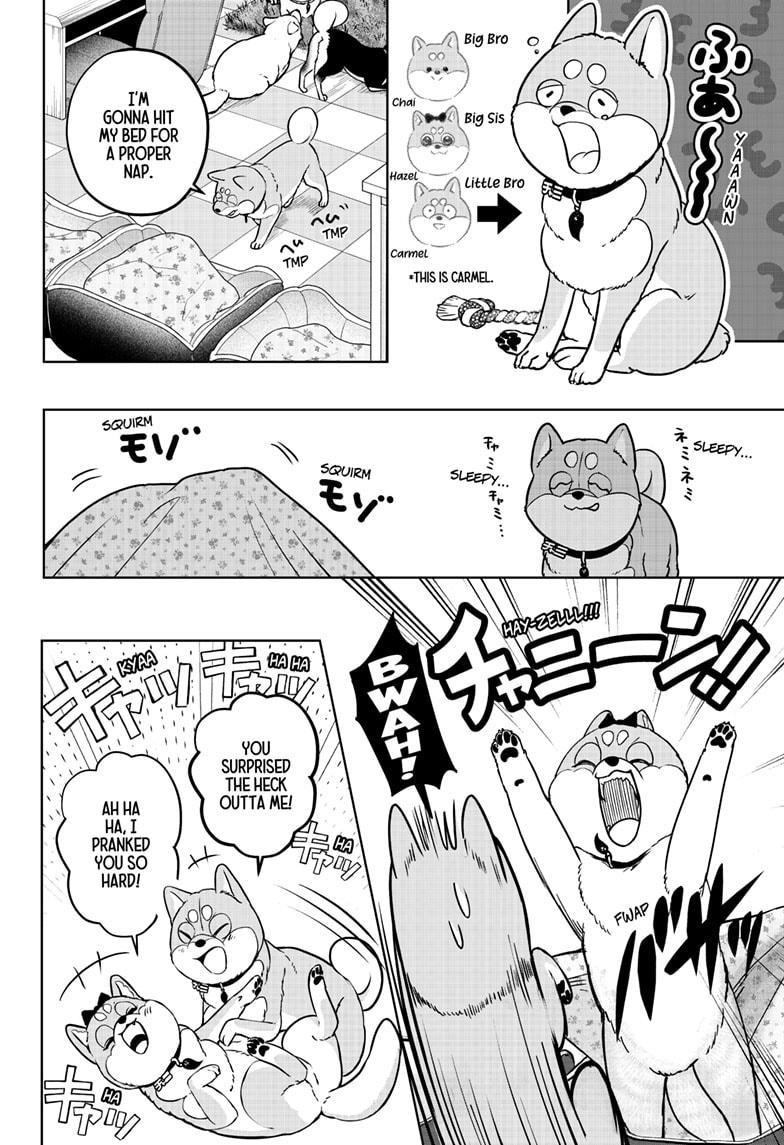 Shiba Inu Rooms Chapter 33 6