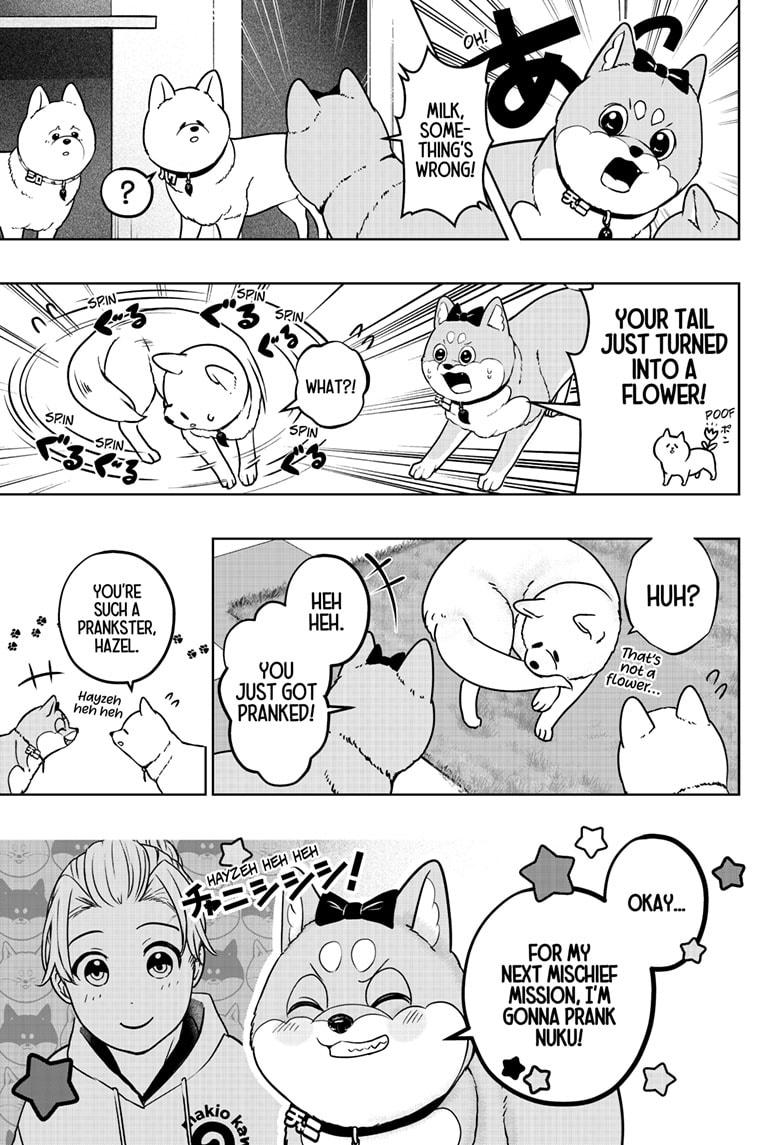 Shiba Inu Rooms Chapter 33 7
