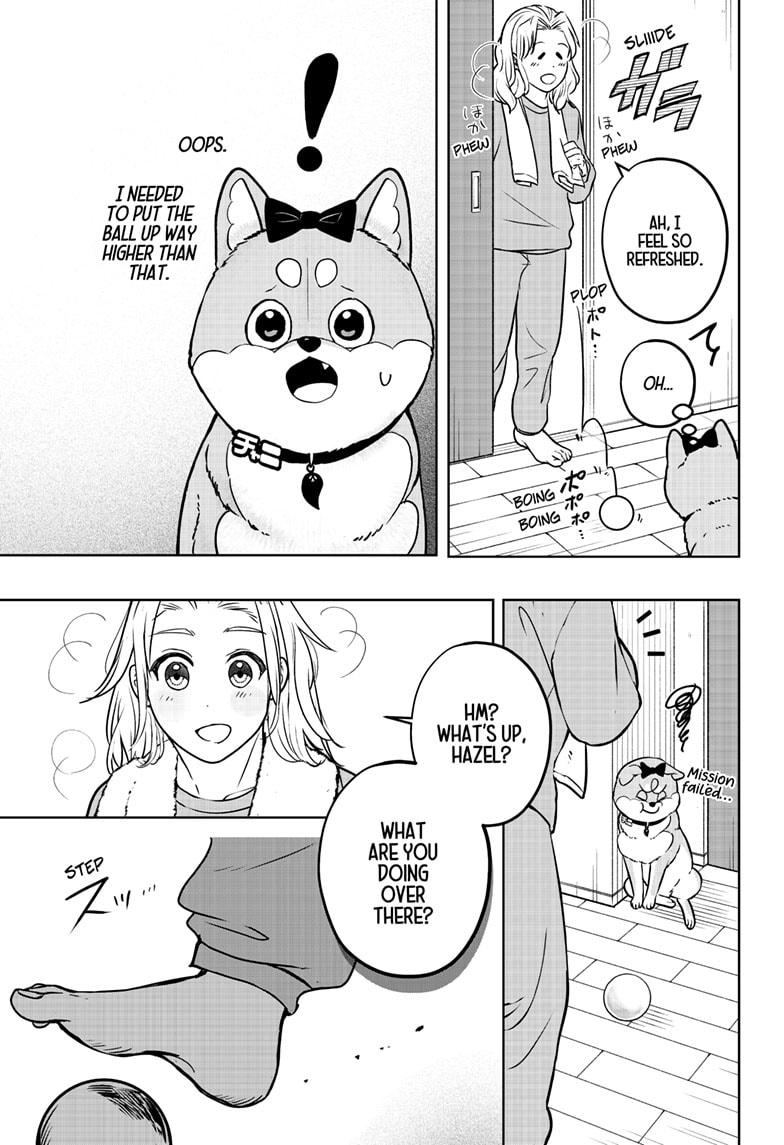 Shiba Inu Rooms Chapter 33 9