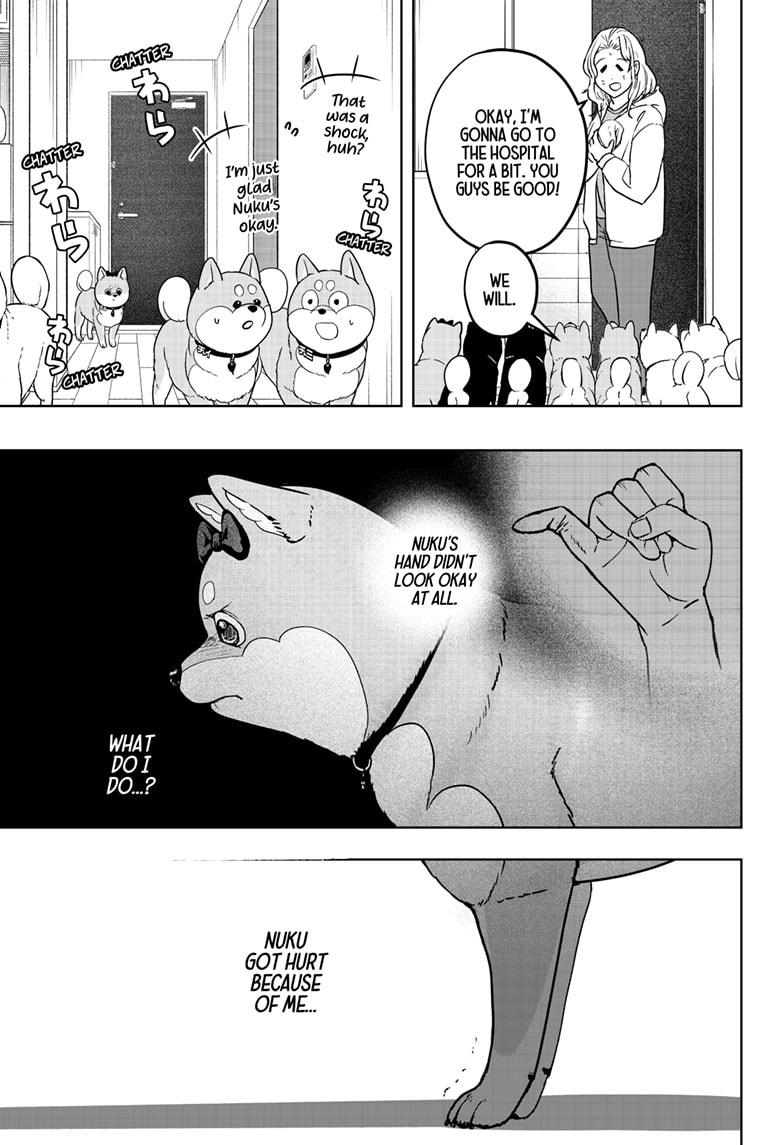 Shiba Inu Rooms Chapter 33 13
