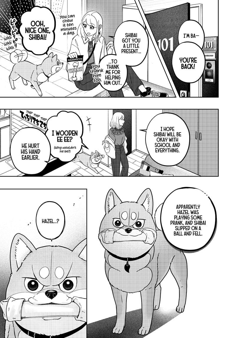 Shiba Inu Rooms Chapter 33 15