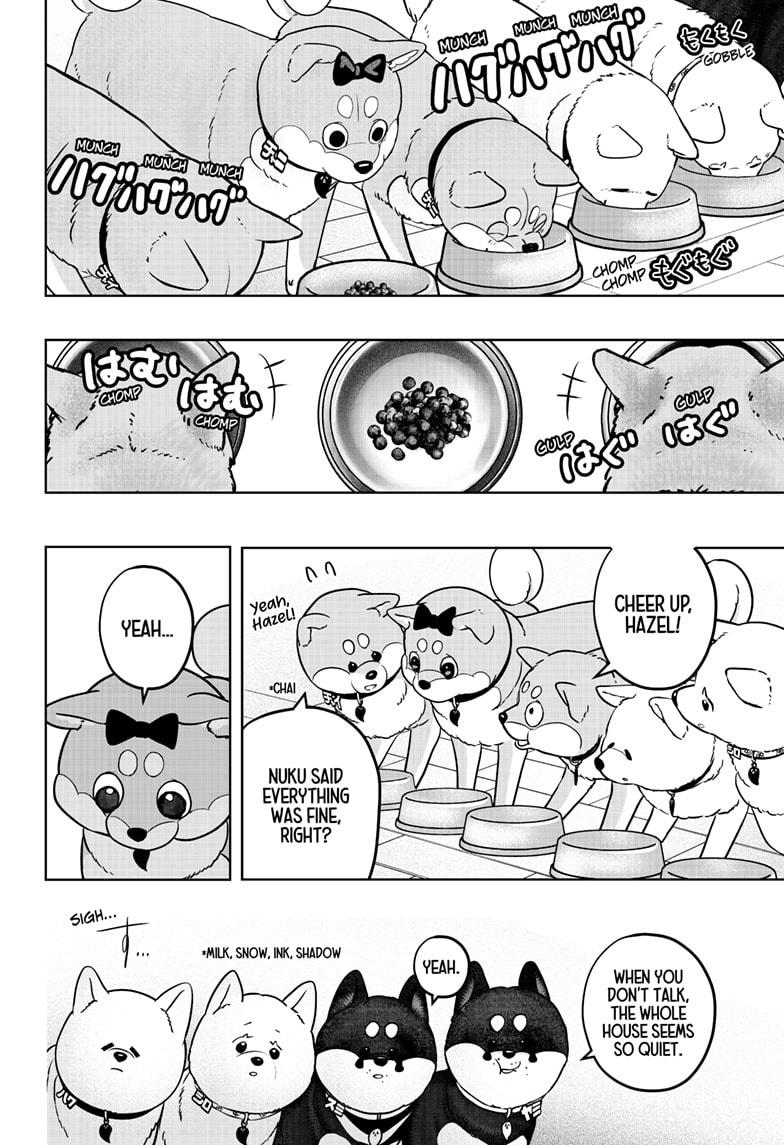 Shiba Inu Rooms Chapter 33 16