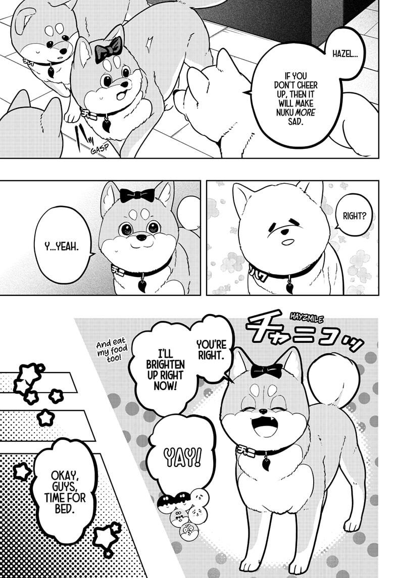 Shiba Inu Rooms Chapter 33 17