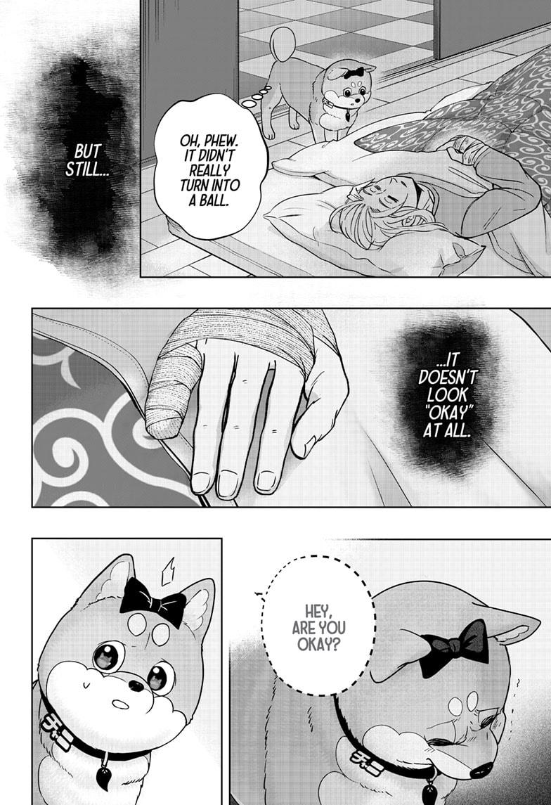 Shiba Inu Rooms Chapter 33 20