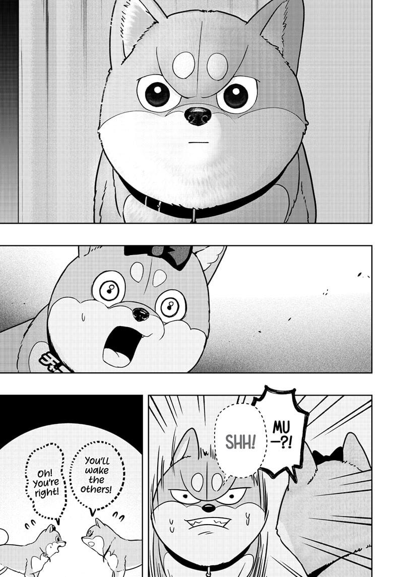 Shiba Inu Rooms Chapter 33 21
