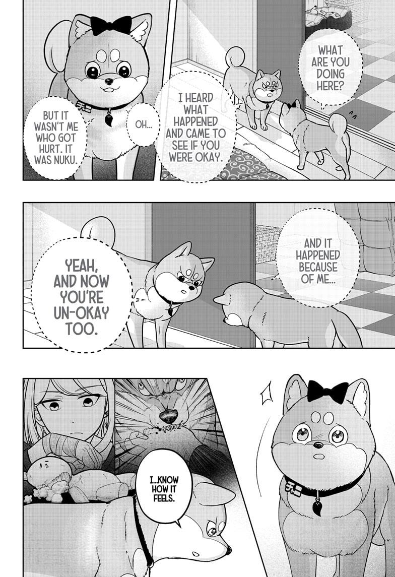 Shiba Inu Rooms Chapter 33 22