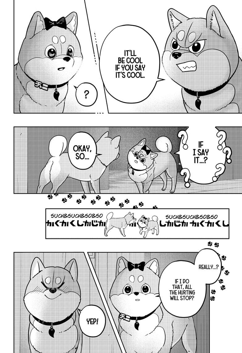 Shiba Inu Rooms Chapter 33 24