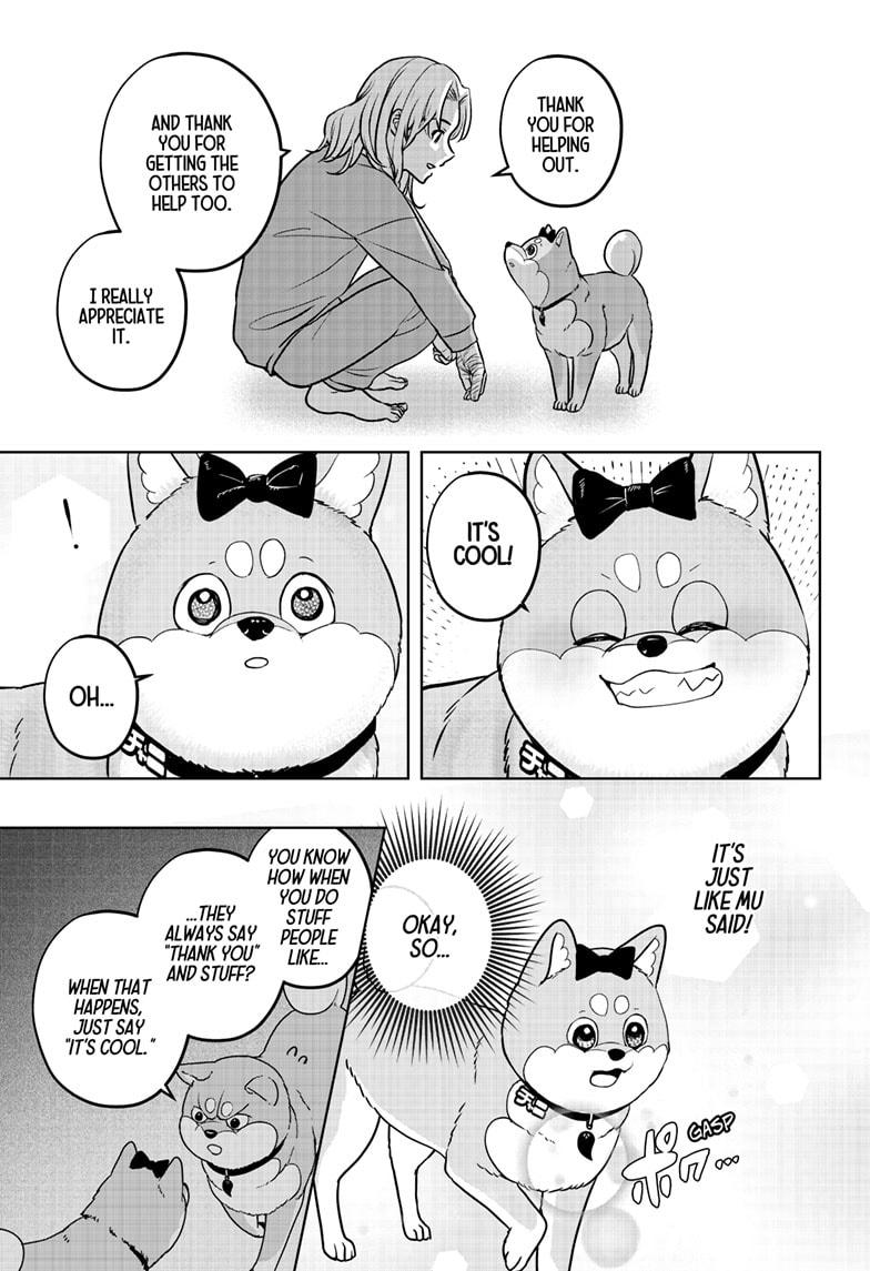 Shiba Inu Rooms Chapter 33 31