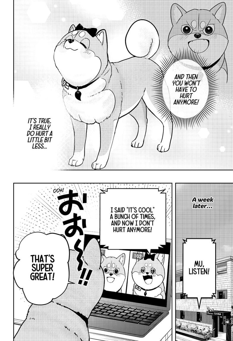 Shiba Inu Rooms Chapter 33 32