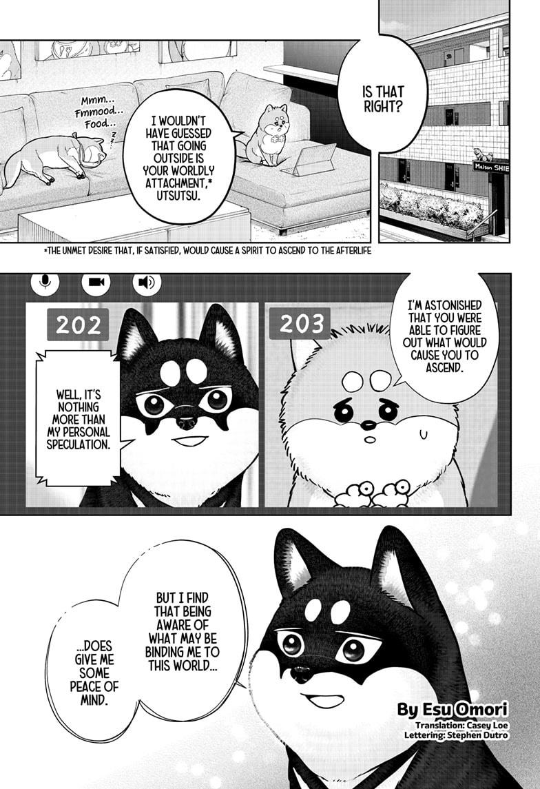 Shiba Inu Rooms Chapter 34 1