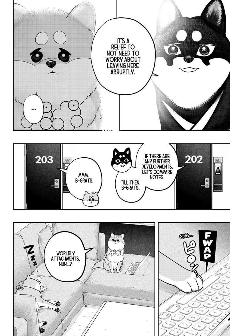 Shiba Inu Rooms Chapter 34 2
