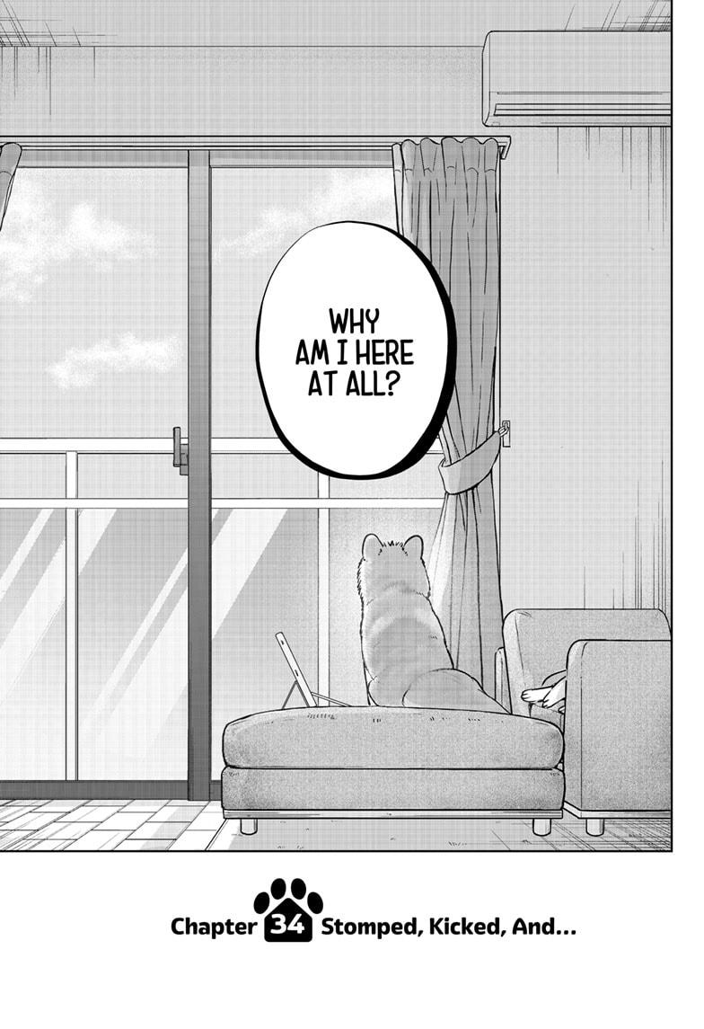 Shiba Inu Rooms Chapter 34 3