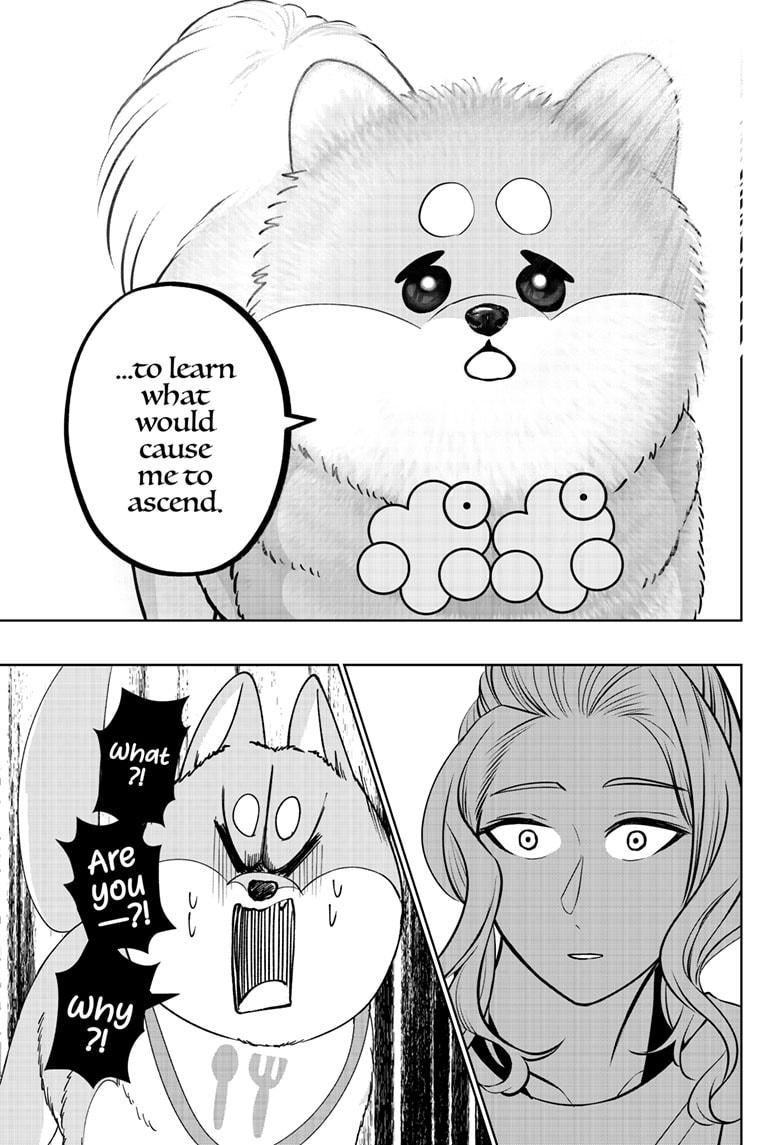 Shiba Inu Rooms Chapter 34 13