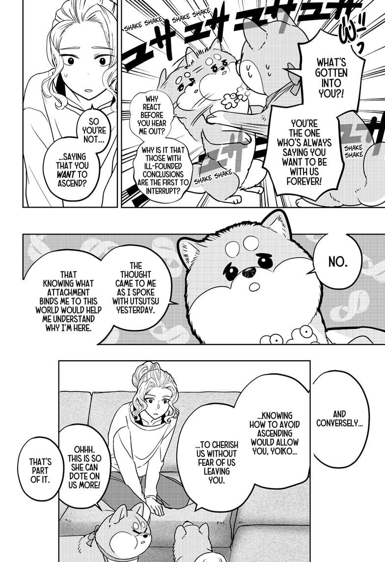 Shiba Inu Rooms Chapter 34 14