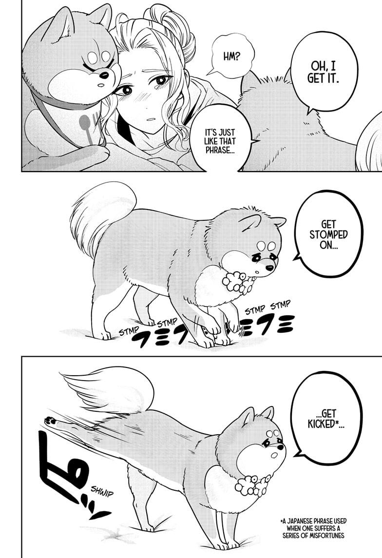 Shiba Inu Rooms Chapter 34 26