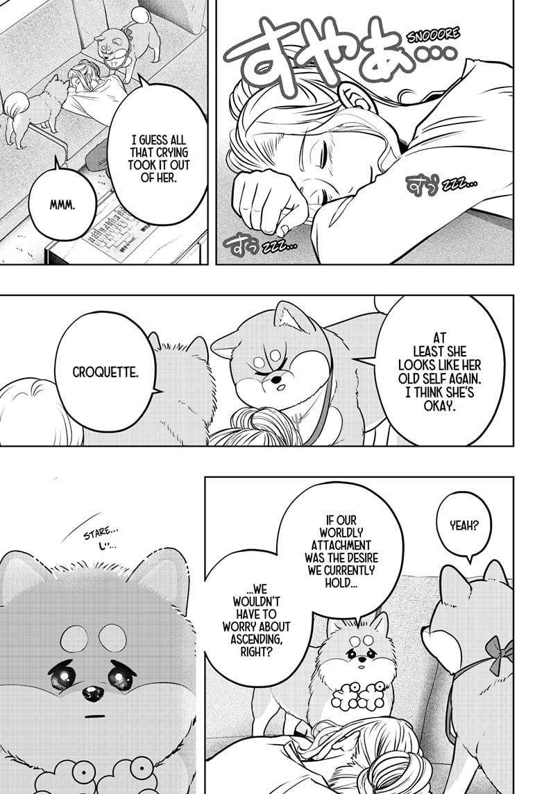 Shiba Inu Rooms Chapter 34 29