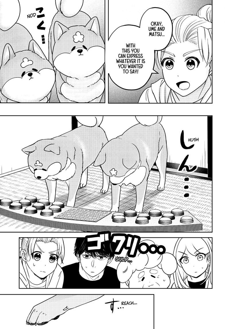 Shiba Inu Rooms Chapter 35 11