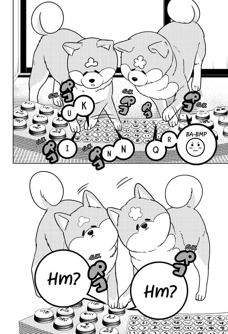 Shiba Inu Rooms Chapter 35 12