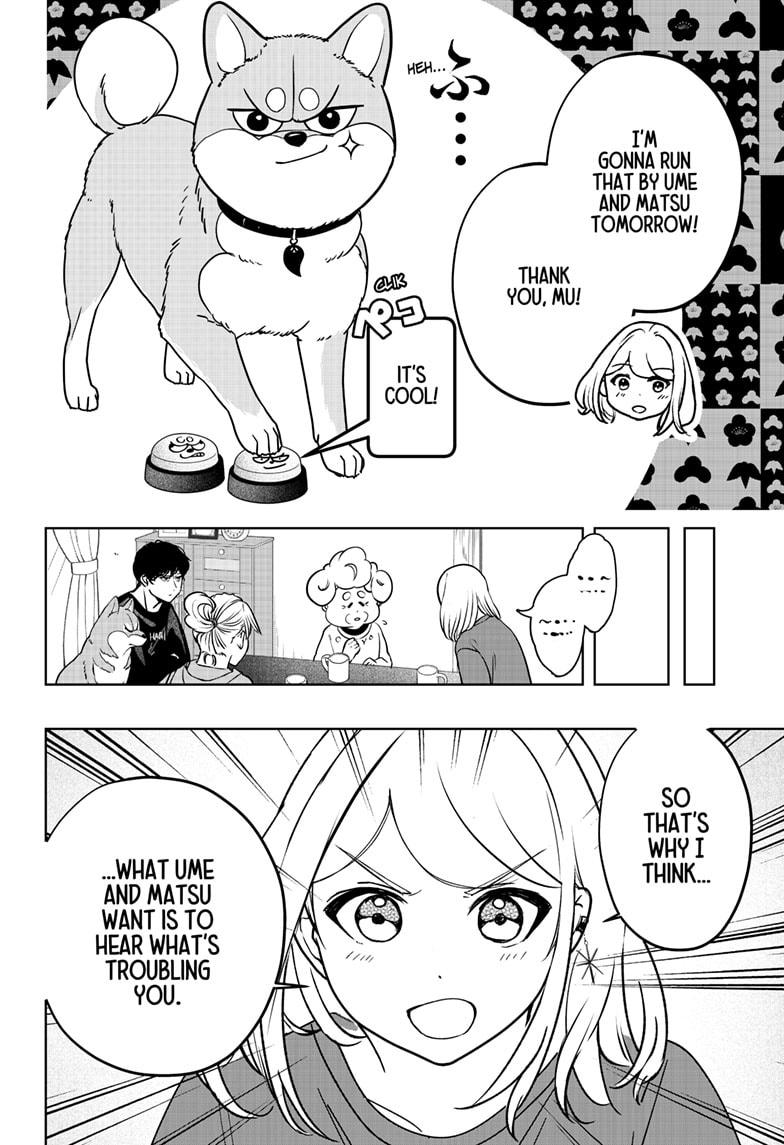 Shiba Inu Rooms Chapter 35 16