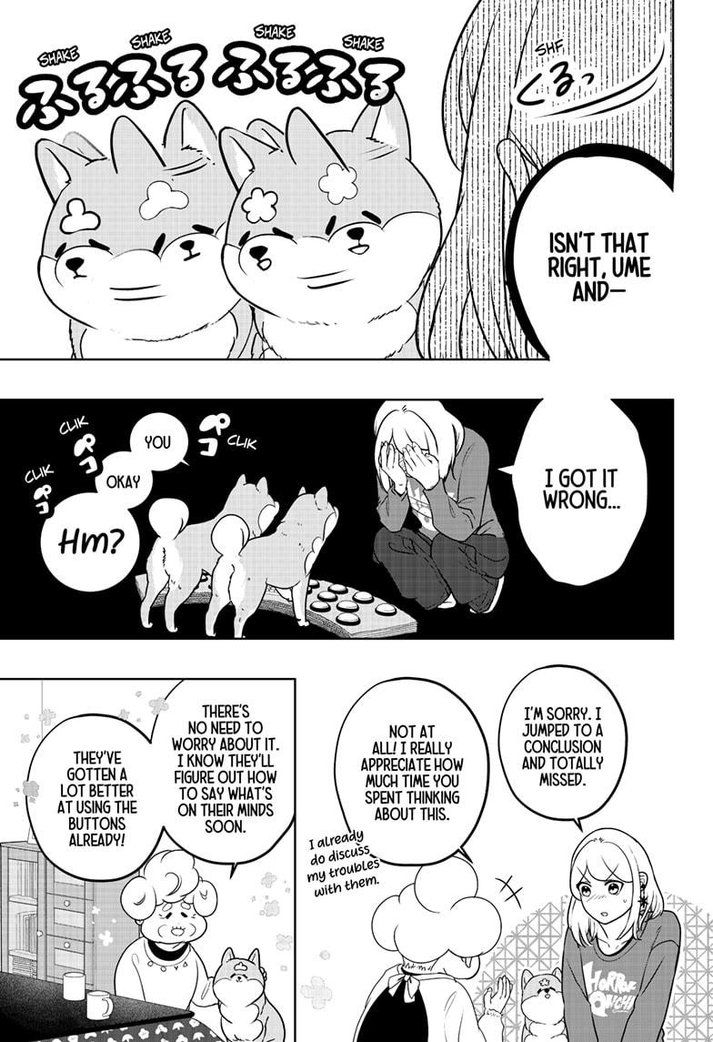 Shiba Inu Rooms Chapter 35 17