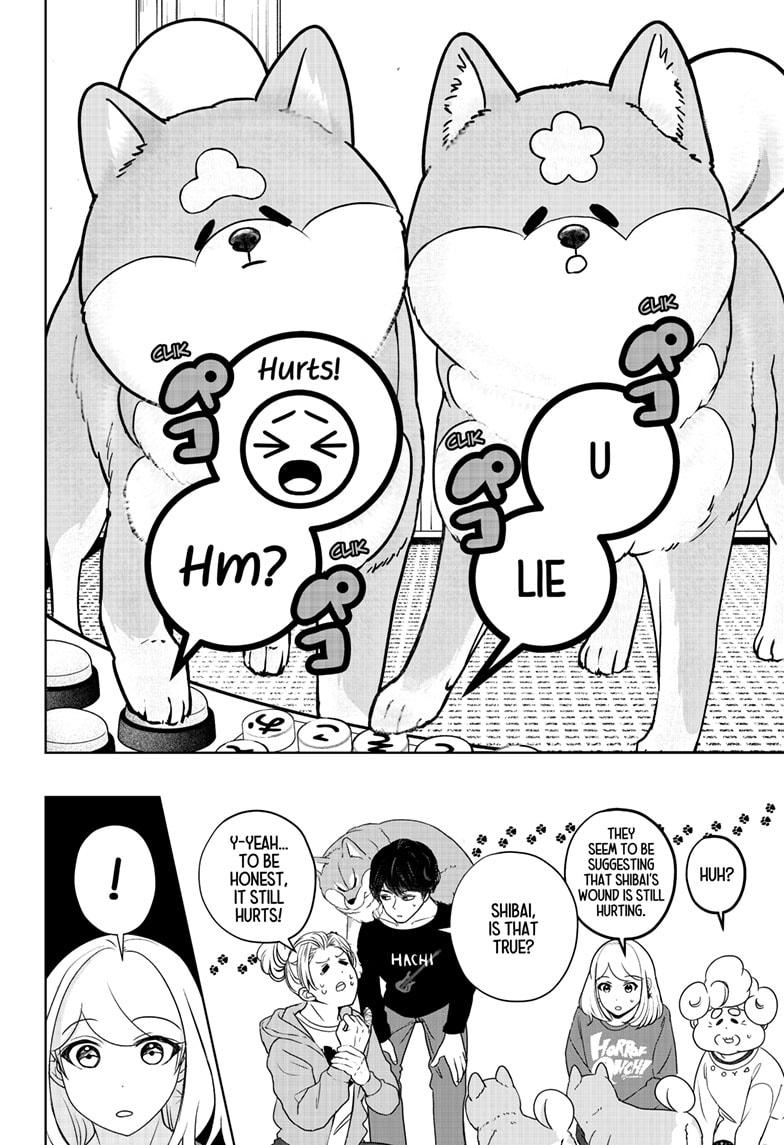 Shiba Inu Rooms Chapter 35 20