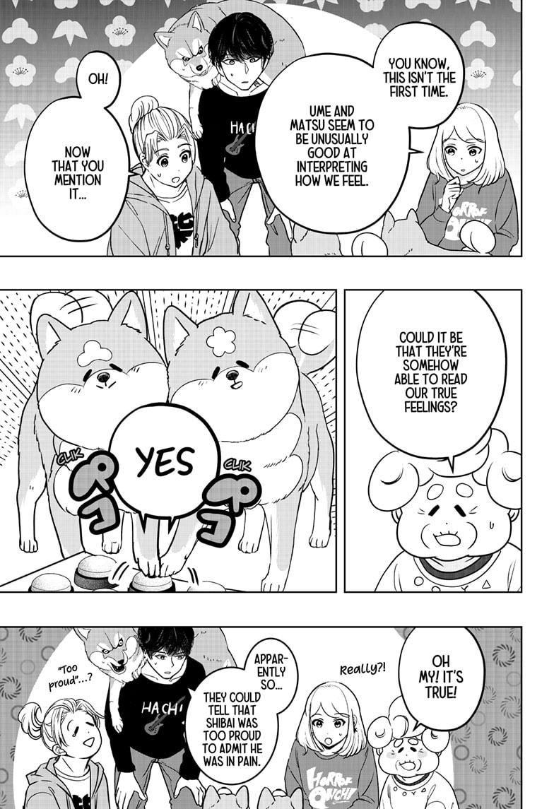 Shiba Inu Rooms Chapter 35 21